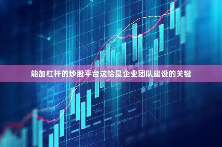 能加杠杆的炒股平台这恰是企业团队建设的关键