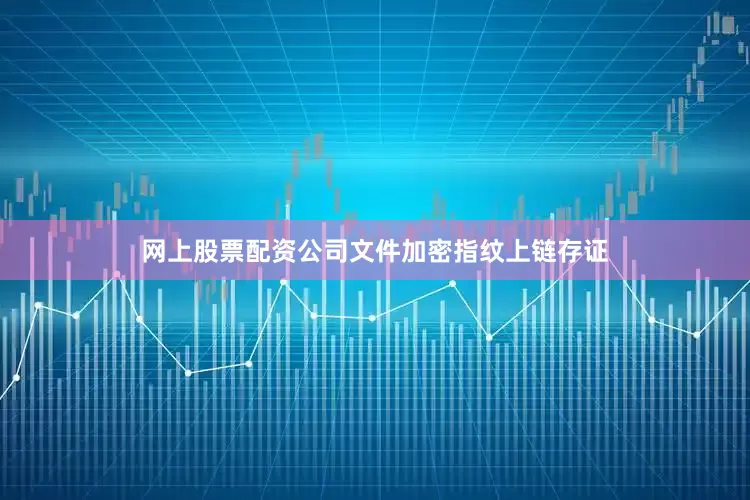 网上股票配资公司文件加密指纹上链存证